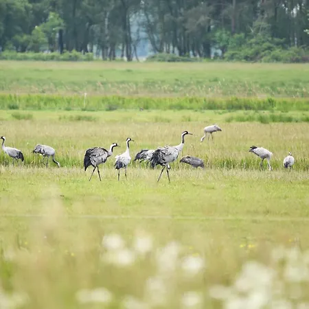 Seebadbrise - Traumhafte Ausblicke Und Maritimes Flair Im Herzen Von
